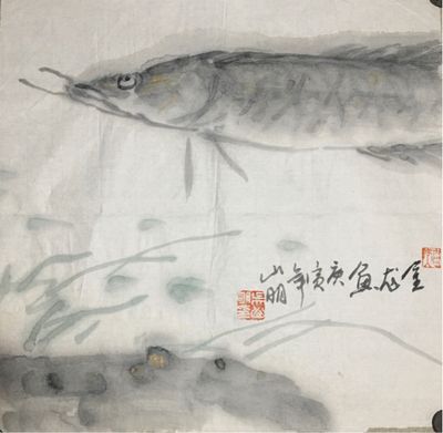 名家畫金龍魚 龍魚百科 第2張