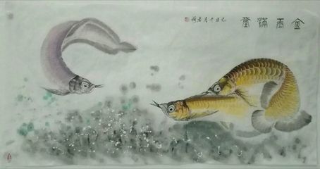 名家畫金龍魚 龍魚百科 第3張