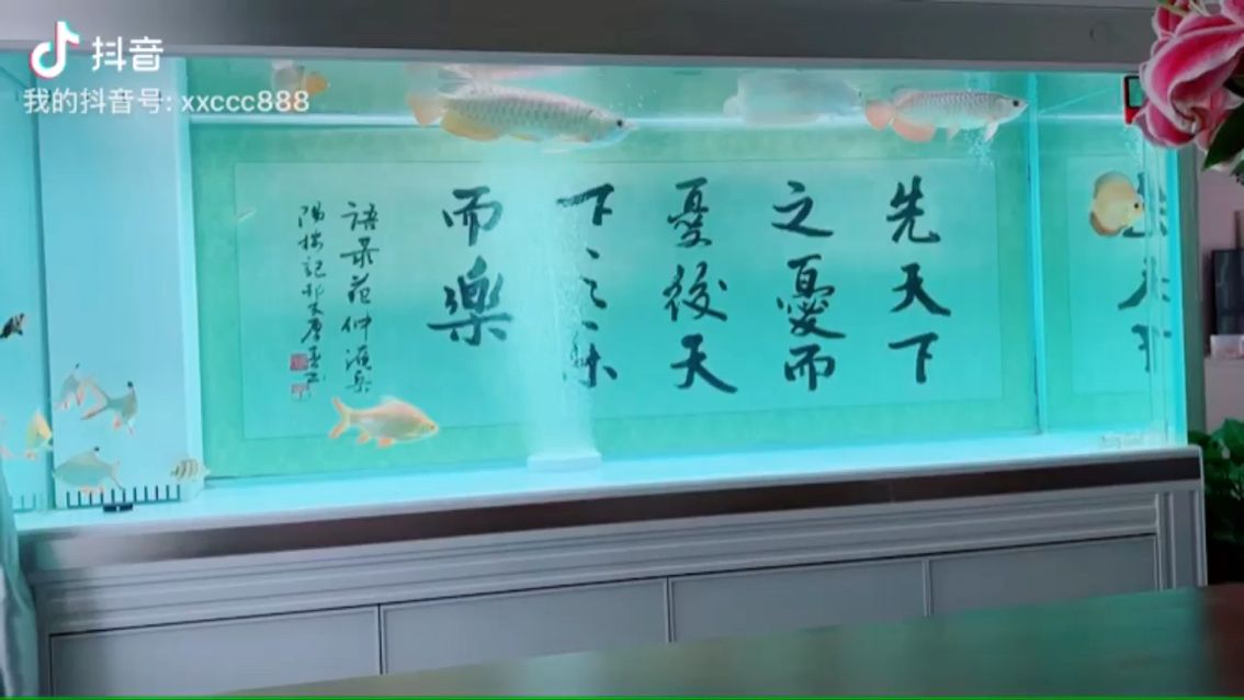 【小青捕食護(hù)食畫面欣賞】 觀賞魚論壇