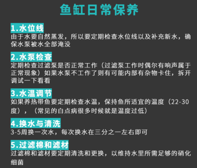 第一次換水就掛了…… 觀賞魚(yú)論壇