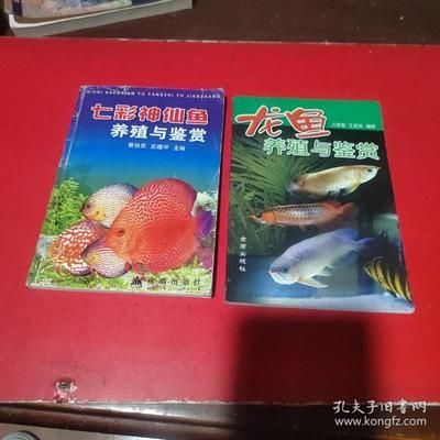 龍魚配七彩神仙好嗎怎么養(yǎng)的 龍魚百科 第1張