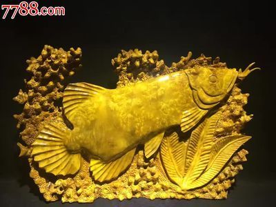 黃金龍魚價(jià)格多少一克