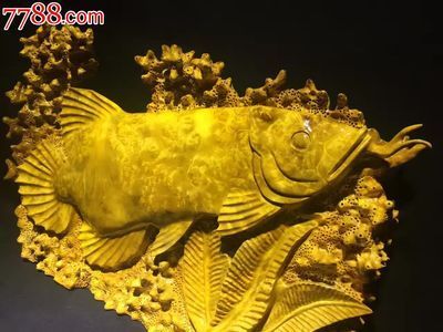 黃金龍魚價(jià)格多少一克