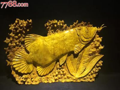 黃金龍魚價(jià)格多少一克 龍魚百科 第2張