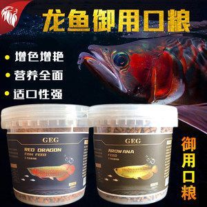 龍魚可以喂魚飼料嗎怎么喂的多呢