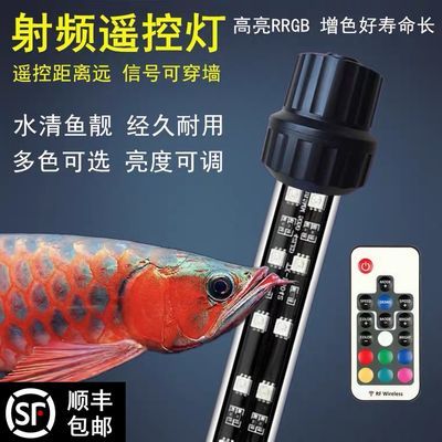 紅龍魚專用燈發(fā)色怎么用