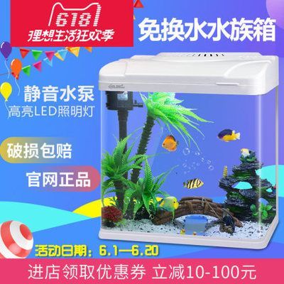 養(yǎng)龍魚養(yǎng)水多長時間換水最好