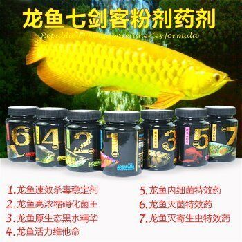 養(yǎng)龍魚必備藥劑有哪些 龍魚百科 第1張