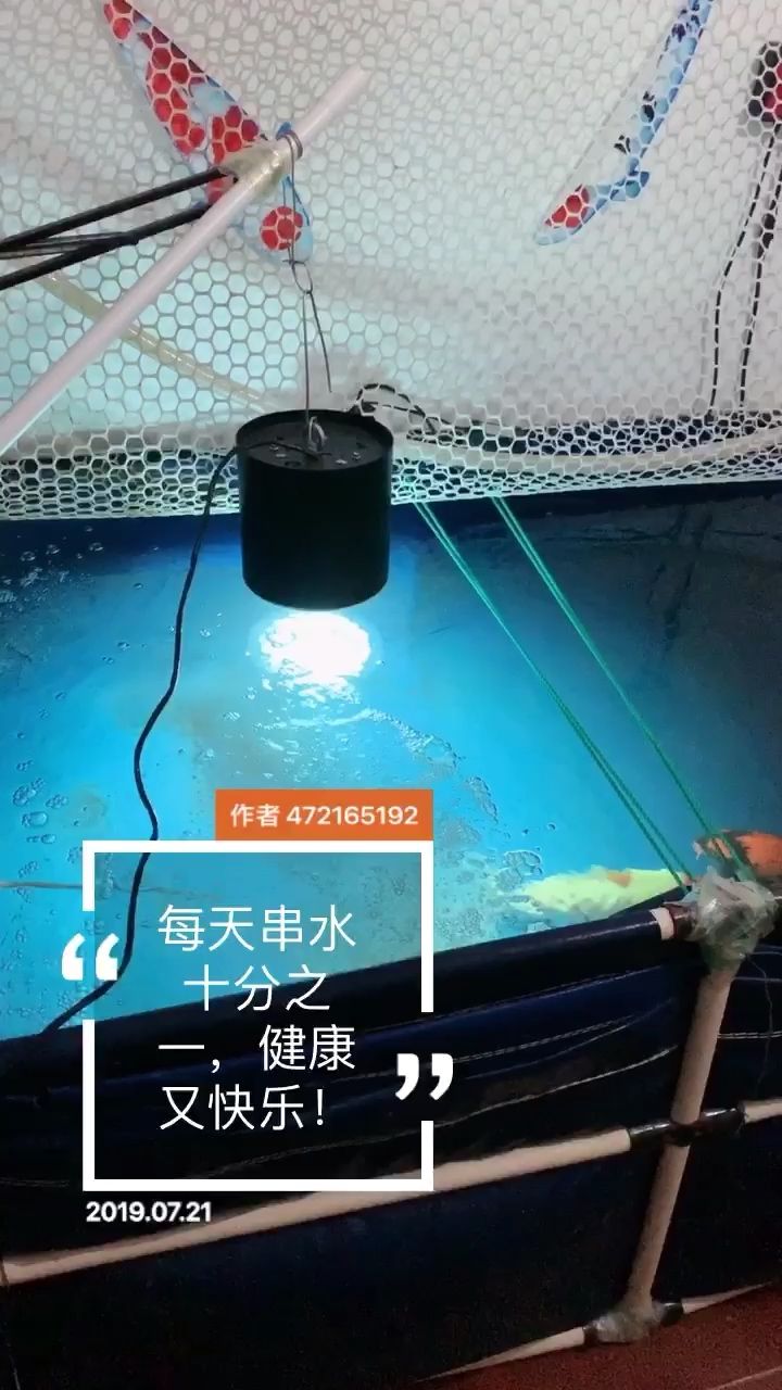 換水完畢！ 觀賞魚論壇