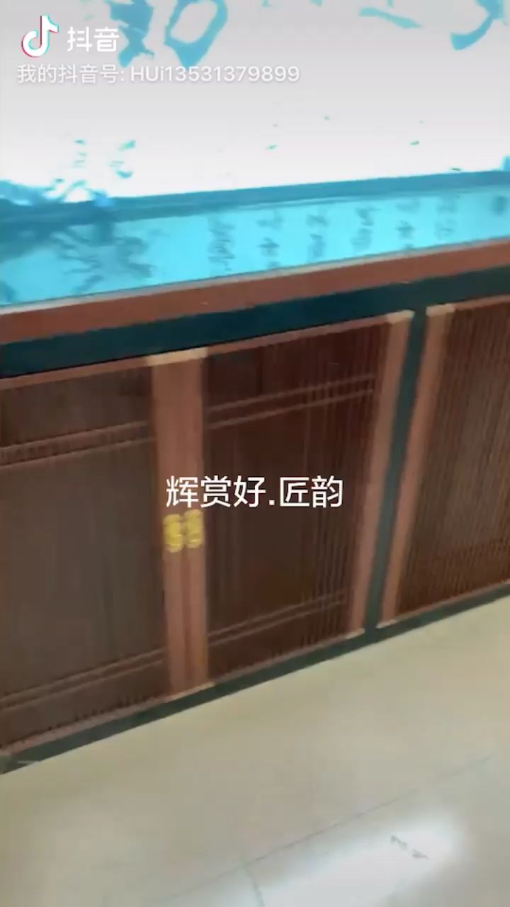 新中式 觀賞魚論壇