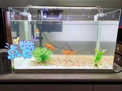 森森魚缸380改造