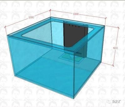 森森魚缸1米龍缸用的多大尺寸的三重溢流
