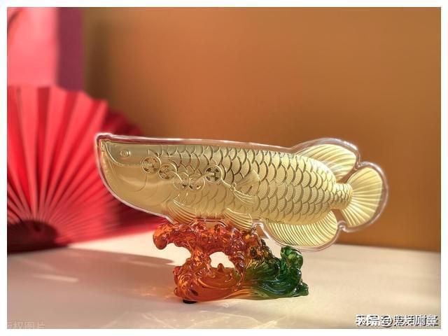 龍魚不動 怎么救