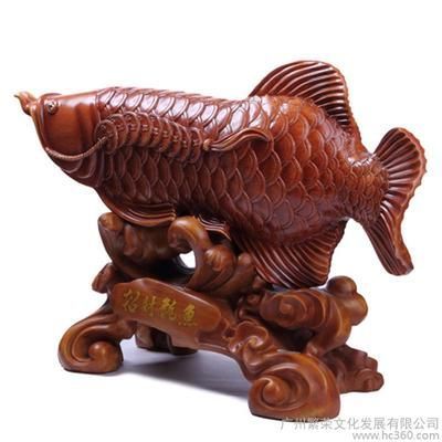 招財魚 龍魚 龍魚百科 第2張