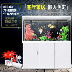 20公分的龍魚(yú)要多大的缸