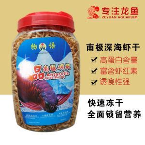 紅龍魚尺寸怎么量的好看 龍魚百科 第2張