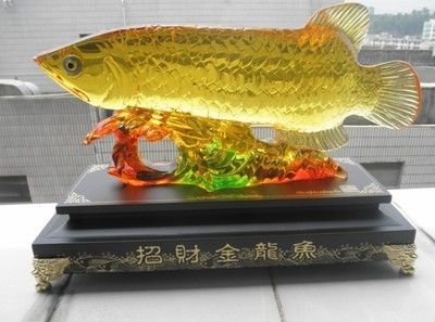 地圖魚(yú)能不能和龍魚(yú)混養(yǎng)