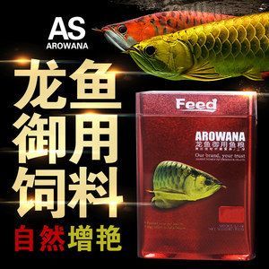 金龍魚活體品牌有哪些系列 龍魚百科 第2張