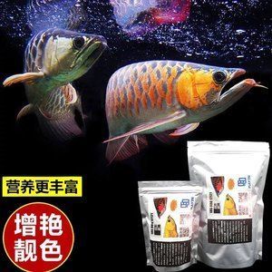 金龍魚活體品牌有哪些系列 龍魚百科 第3張