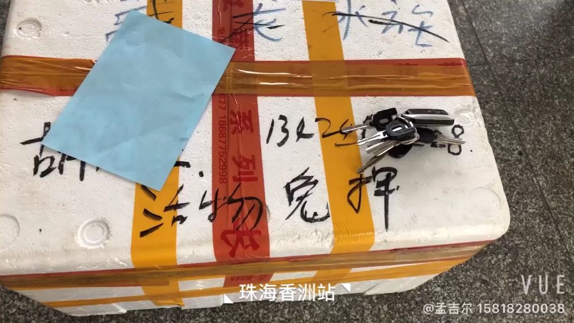 珠海胡生準備接魚 觀賞魚論壇