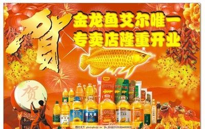 金龍魚的配方 龍魚百科