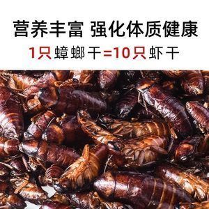 龍魚(yú)吃蟑螂干好嗎 龍魚(yú)百科 第1張