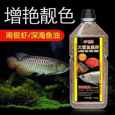 招財(cái)金龍魚擺件價(jià)格 龍魚百科 第1張