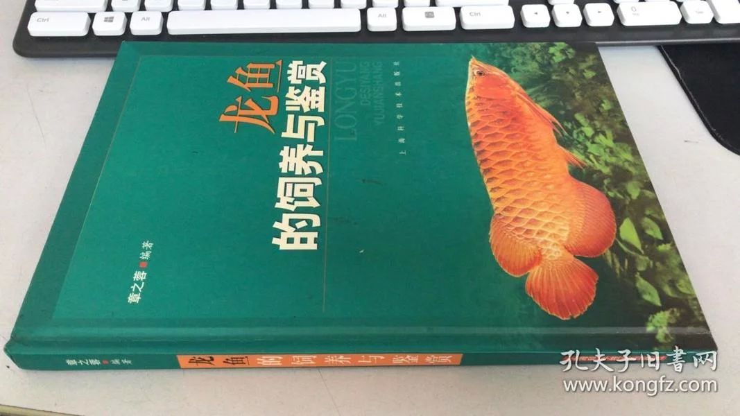 龍魚(yú)的飼養(yǎng)與鑒賞作文三年級(jí)上冊(cè)