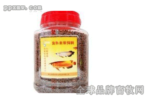 最好的龍魚飼料是哪種魚吃 龍魚百科 第2張