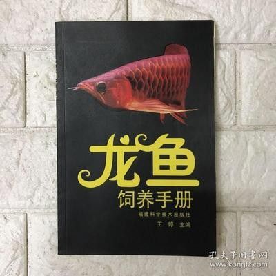 龍魚(yú)飼養(yǎng)手冊(cè)最新版本 龍魚(yú)百科