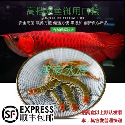 龍魚(yú)可以吃蠶蛹嗎