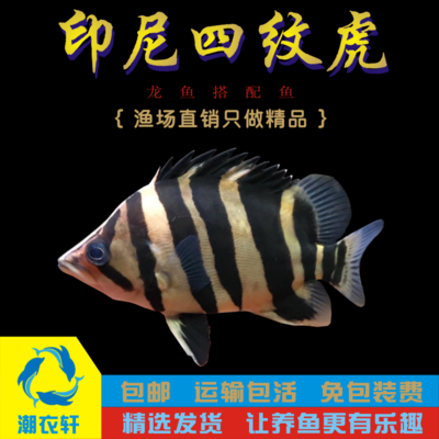 龍魚漁場(chǎng)