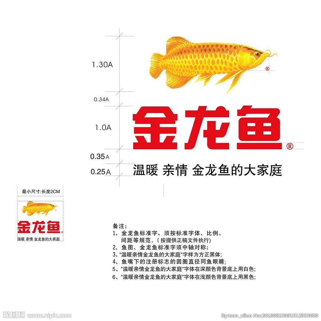 金龍魚長度怎么算是不是包含尾鰭 龍魚百科 第2張