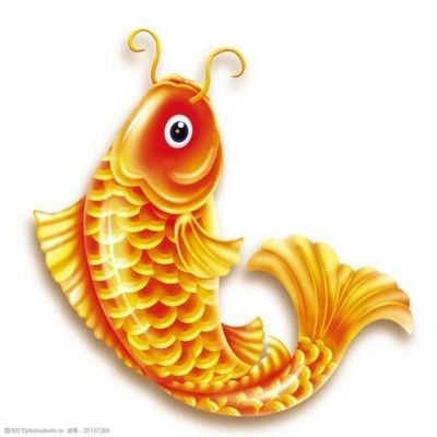 金龍魚頭像卡通 龍魚百科 第2張