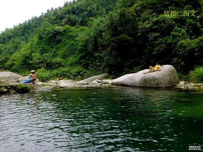 龍魚趴在缸底發(fā)呆怎么辦