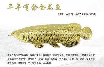 金龍魚畫的寓意和象征是什么意思 龍魚百科 第1張