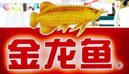 廣州市金龍魚總經(jīng)銷商