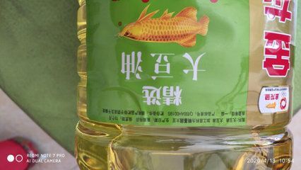 金龍魚這個牌子好嗎 龍魚百科 第1張