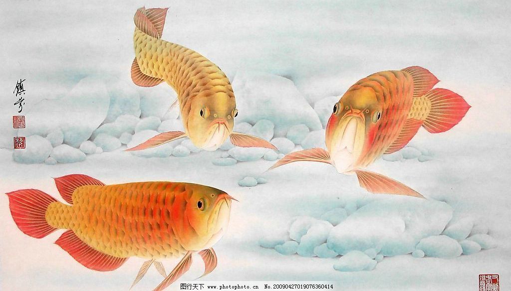 工筆畫(huà)金龍魚(yú)怎么畫(huà)好看