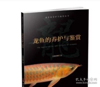 龍魚的養(yǎng)殖與鑒賞論文題目怎么寫好