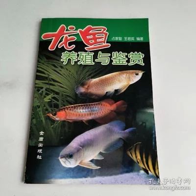 龍魚的養(yǎng)殖與鑒賞論文題目怎么寫好