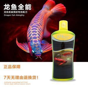 龍魚(yú)大面積立鱗怎么辦