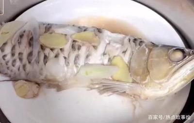 龍魚不吃蝦肉怎么辦 龍魚百科 第3張