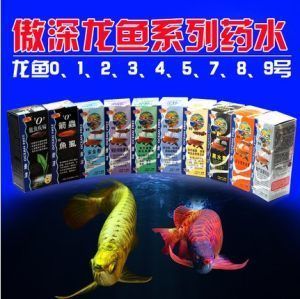 龍魚有病了用什么藥治 龍魚百科