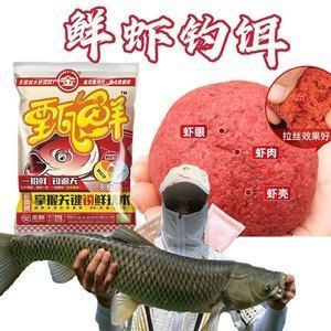 金龍魚吃紅蟲嗎？ 龍魚百科 第1張