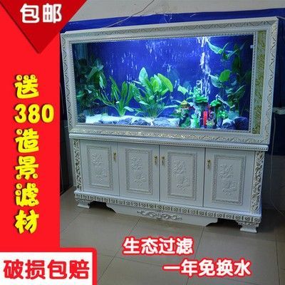 龍魚缸濾材多久換一次 龍魚百科