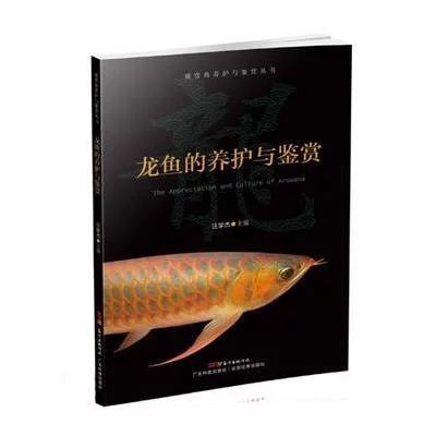 龍魚的鑒賞要點是什么意思呀 龍魚百科 第2張