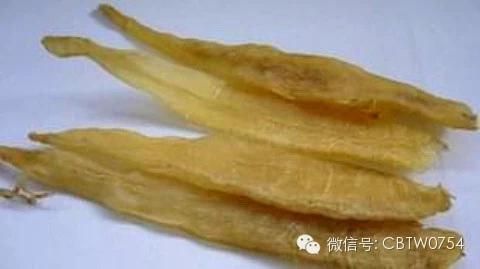 金龍魚(yú)膠有什么功效和作用 龍魚(yú)百科 第3張