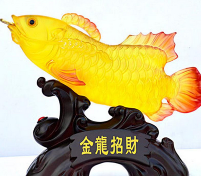 招財龍魚養(yǎng)幾條好 龍魚百科 第2張