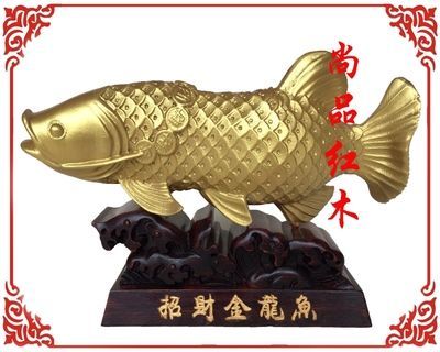 養(yǎng)金龍魚有什么風(fēng)水講究？